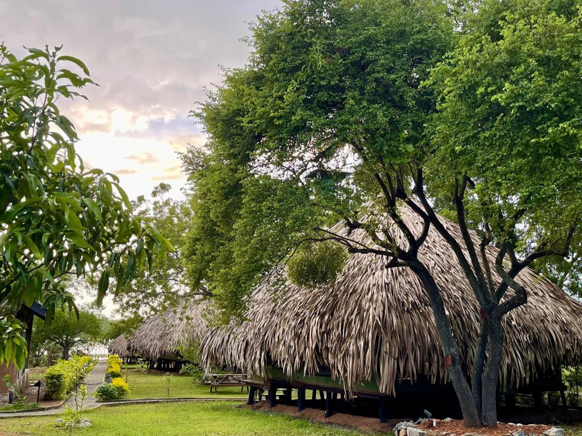 Yala Lake View Cabanas Tissamaharama Dış mekan fotoğraf