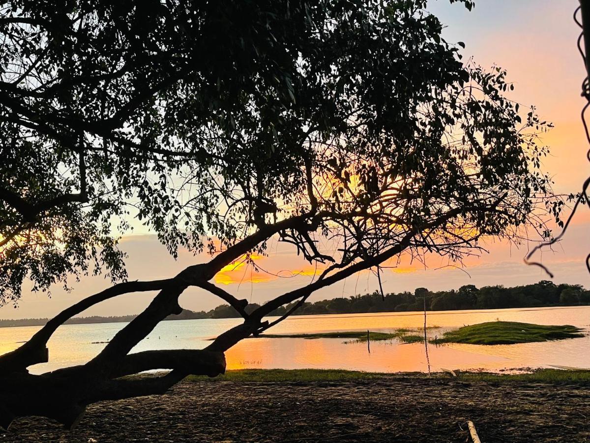 Yala Lake View Cabanas Tissamaharama Dış mekan fotoğraf