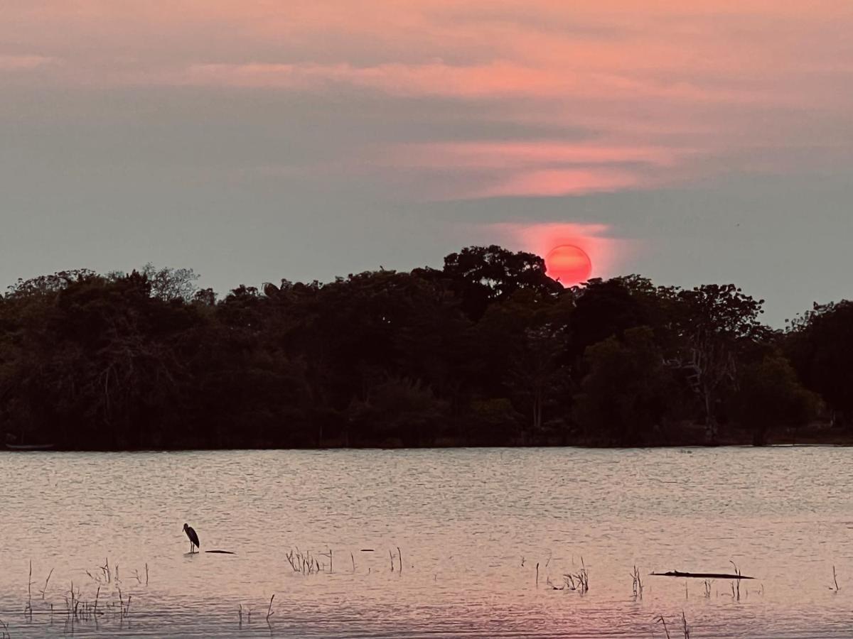 Yala Lake View Cabanas Tissamaharama Dış mekan fotoğraf